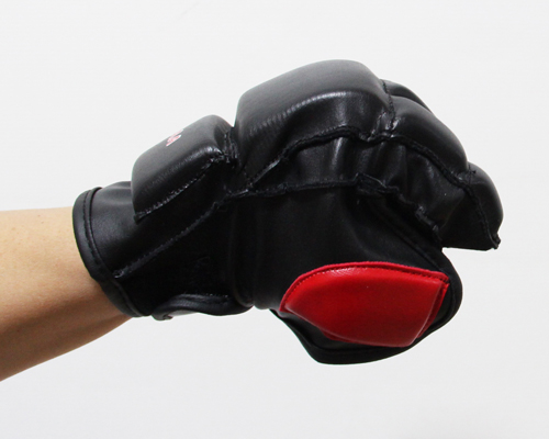 glove%20(3).jpg