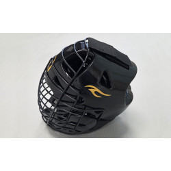 Protective Headgear with face shield